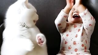 Funny cat