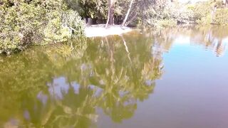 Alligator in Pond