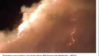 Fire breaks out along 405 Freeway in Sepulveda Pass | sepulveda fire #shorts #sepulvedafire