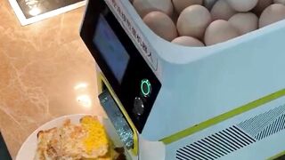 egg fryer