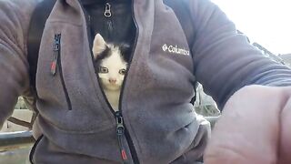 A Cold Homeless little Kitten is trying to warm up by hiding in my clothes.