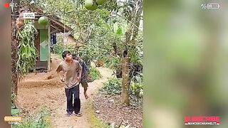 Kumpulan video lucu. Asli bikin ngakak