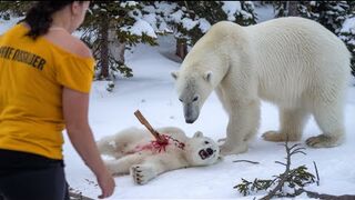 A rescue team saves a badly injured baby bear, offering hope and a second chance at life.