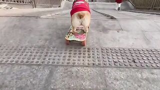 Popeye is the best at skateboarding