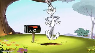 New looney tunes season 1 Episode 1 English Dubbed