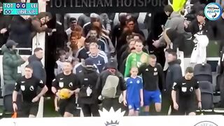 spurs vs Leicester city 1 - 2 highlights