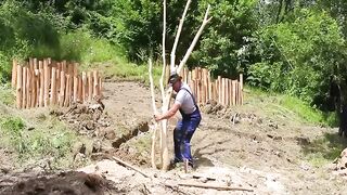 Alone in the forest, building a dugout bunker