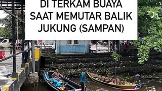 Ngeri banget buaya nya ya allah