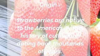 Uncover the Hidden History of Strawberries