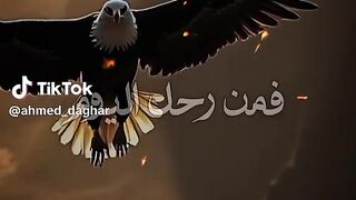 ياسلم