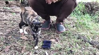 Meeting a black cat at a temple and playing around with her