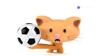 Hilarious Cats Playing Soccer