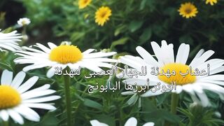 اعشاب مهدئة للجهاز العصبي