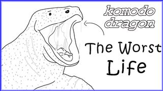 Why It Sucks to Be Born as a Komodo Dragon #komodo #dragon