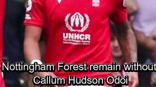 Nottingham Forest remain without Callum HudsonOdoi nottm forest vs brighton #shorts #nottm #brighton