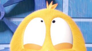 Hello there #chicky | Chicky Cartoon in English for Kids