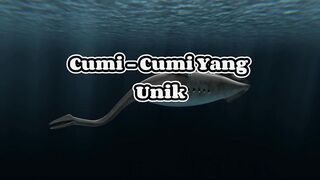 Cumi-cumi yang unik