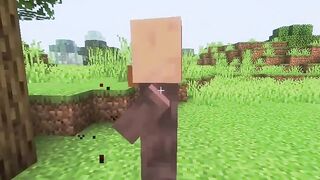 Minecraft Meme