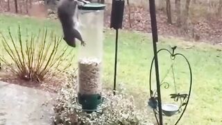 Not his little hands trying to grab the pole each rotation