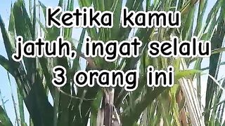 Ketika Jatuh Ingat 3 Orang ini #motivasi #katabijak