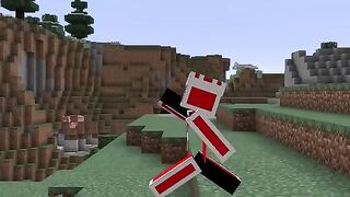 Types of Players you can Find in Minecraft