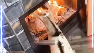 Goat wants to be roasted alive