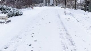 Walking in the park in snowy weather