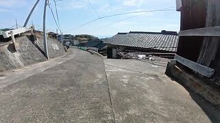 In the back alleys of Cat Island, cats who want to be mofu are gathered together.