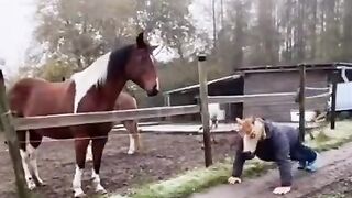 The horse couldn't believe his eyes????????