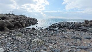 Cats living in the gaps between tetrapods come out to the beach to sunbathe