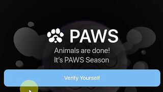 Бот PAWS телеграм