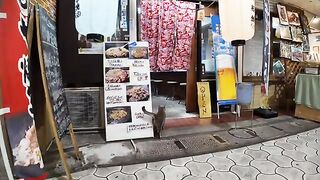 A store in a shopping district where members of the cat organization collect cash every day.