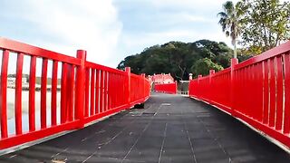 A black cat at the red bridge of the shrine