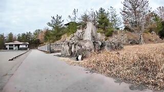 There was a cat in the square of the stone monument, so I stopped my bike and came to pet it.