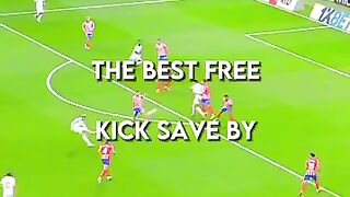 The best free kick saved in football