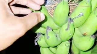 a bird on a banana