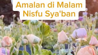 Amalan di malam nisfu Sya'ban