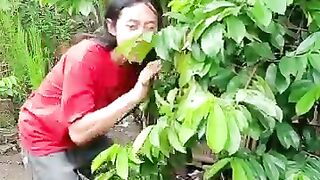 Video lucu banget bikin ngakak