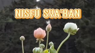 Nisfu Sya'ban