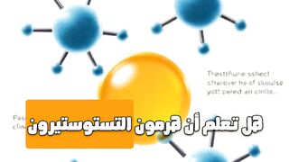 هرمون التستوستيرون