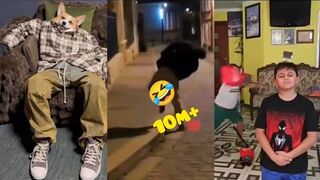 Top 10 milion+ viewd instragram funny video????. It's make you loud Lough out. #funny #rels