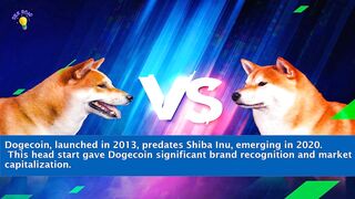 Dogecoin Vs Shiba Inu Which One Is Better