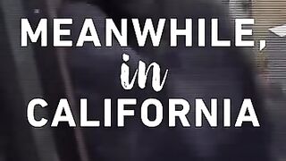 Is Any State ???? CRAZIER Than CALIFORNIA？ #shorts #trendingshorts #trump.webm