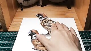 ❤️3d Drawing Birds - Creative Drawing Ideas—Catch This Bird❤️#shorts #3dart #3ddrawing