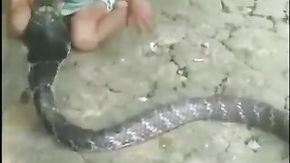 The child from the snake, see what happens