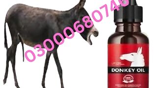 Donkey Oil Price in Sialkot 03000680746