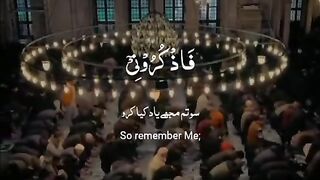 Alquran beautiful recitation ????