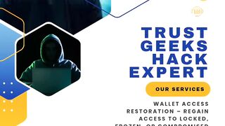 NEED HELP RECOVERING CRYPTO LOST IN SCAM // CONTACT TRUST GEEKS HACK EXPERT