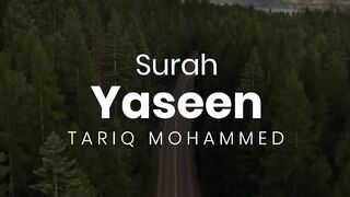 Surah Yaseen | Qari Tareq Mohammed | سورة يس | القارئ طارق محمد