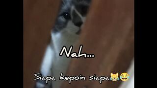 Nah..Siapa Kepoin Siapa?!